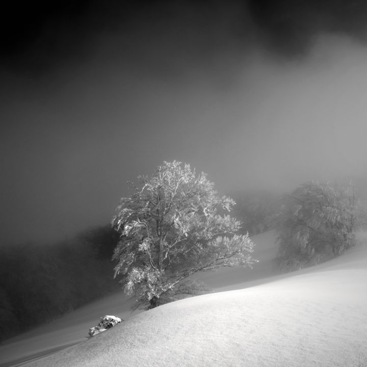 Lisière Photographie Par Bruno Blais Artmajeur