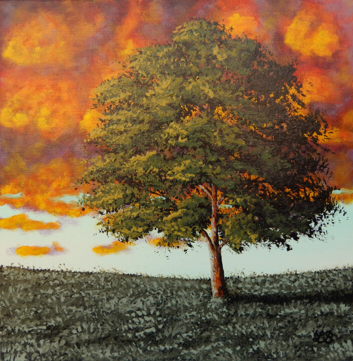 Painting titled "Le ciel en feu" by Bruno Lemasson, Original Artwork, Acrylic