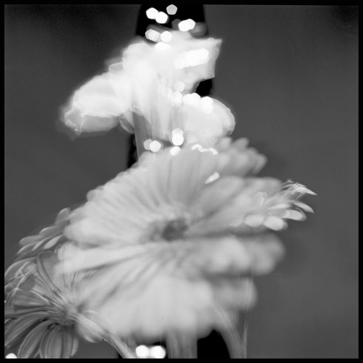 Photography titled "Fleurs Momparnasse" by Bruno Mesrine, Original Artwork, Non Manipulated Photography