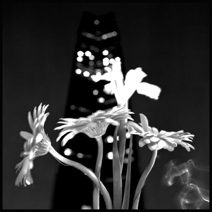 Photographie intitulée "Fleurs de Lys  Momp…" par Bruno Mesrine, Œuvre d'art originale, Light Painting