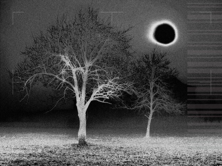Fotografia intitolato "black sun" da Brut Carniollus, Opera d'arte originale, Fotografia digitale
