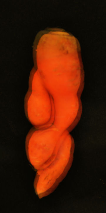 Photographie intitulée "phsy-carrot" par Bubon, Œuvre d'art originale