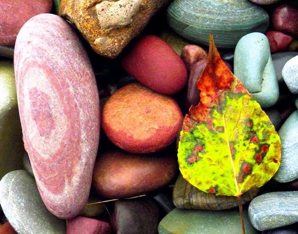Photography titled "Leaf Rock" by Mike Vukich, Original Artwork