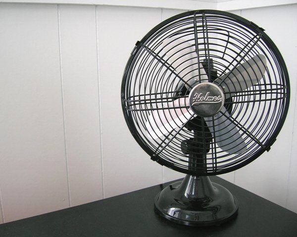 Photography titled "Fan" by Mike Vukich, Original Artwork