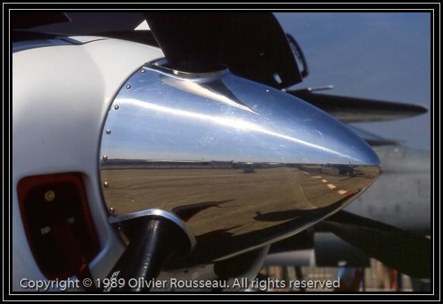 Photographie intitulée "Métal Ancien Hurlan…" par Buissonances, Œuvre d'art originale