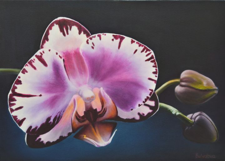Peinture intitulée "purple orchid flowe" par Irina Buivolova, Œuvre d'art originale