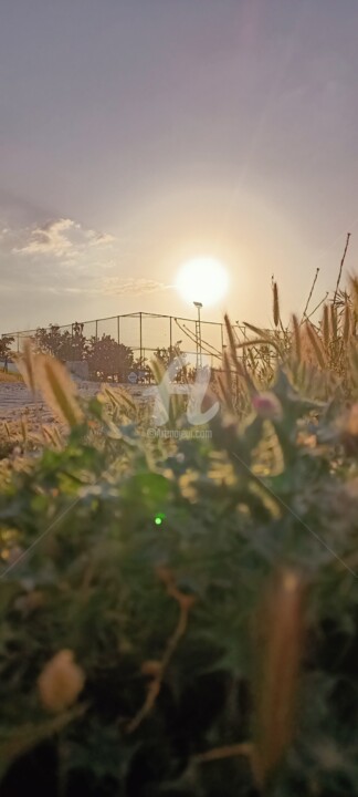 Fotografia zatytułowany „sun and summer” autorstwa Burak Akkayalı, Oryginalna praca, Fotografia nie manipulowana