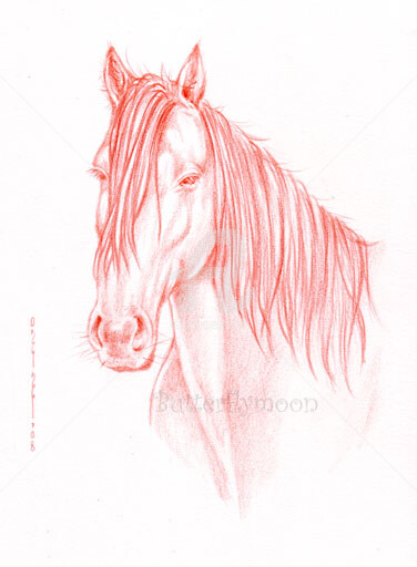 Drawing titled "Cheval à la Sanguin…" by Butterflymoon, Original Artwork