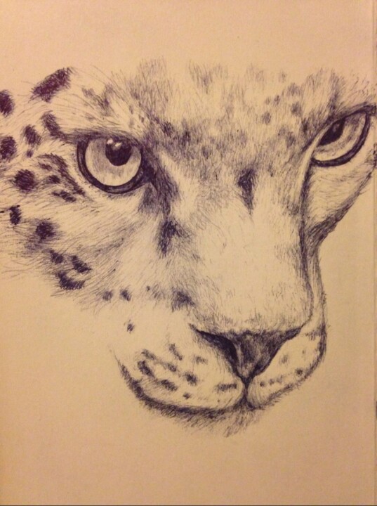 Disegno intitolato "Pendrawing Leopard" da Suzanne Bijma, Opera d'arte originale, Biro