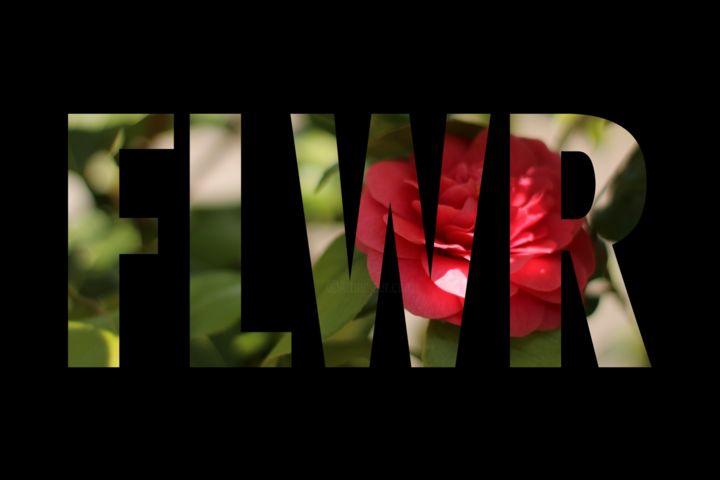 Photography titled "FLWR" by Done, Original Artwork