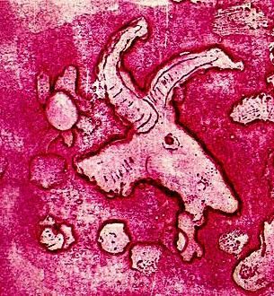 Pintura titulada "cabra" por Gabriel Muguerza, Obra de arte original