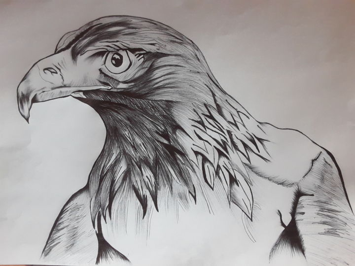 Dessin intitulée "Eagle" par Granville Carlo, Œuvre d'art originale, Stylo à bille