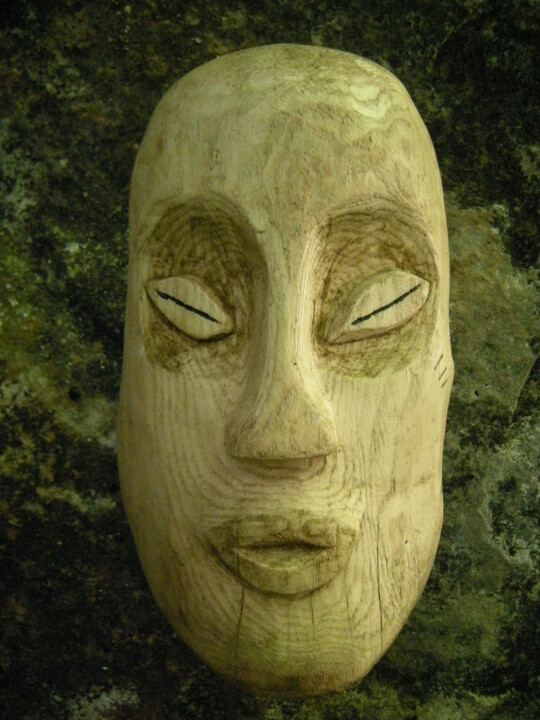 Sculpture intitulée "Leotie" par Cambrousse, Œuvre d'art originale, Bois