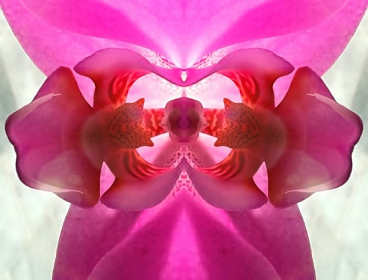 Digitale Kunst getiteld "Orchid.jpg" door Came2leon, Origineel Kunstwerk, Anders