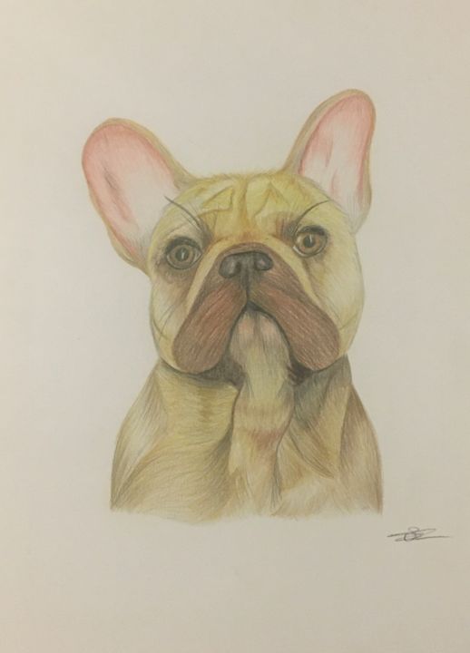 Drawing titled "Le chien" by Camille Bruneau, Original Artwork, Pencil