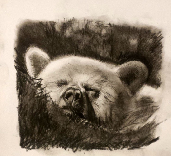Desenho intitulada "Bear" por Camilo Flores, Obras de arte originais, Carvão