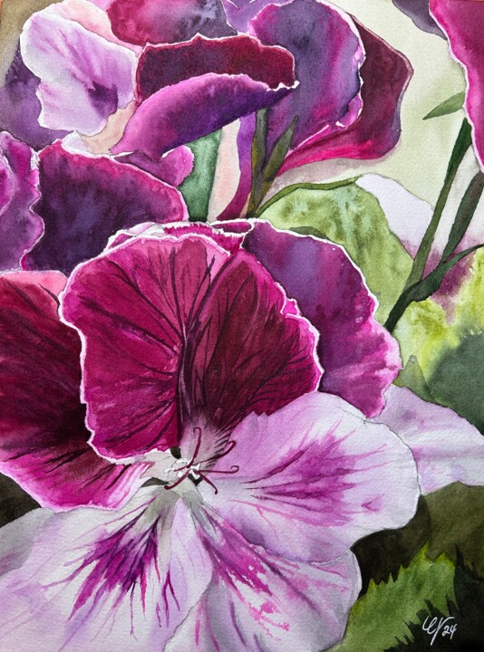 Malerei mit dem Titel "Purple Geraniums" von Candace Grey, Original-Kunstwerk, Aquarell