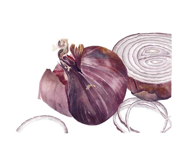 Painting titled "Red Onion" by Candace Bialczak, Original Artwork