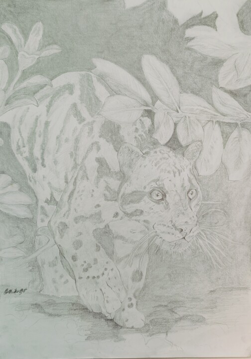 Рисунок под названием "Jaguar" - Caner Ünlü, Подлинное произведение искусства, Карандаш