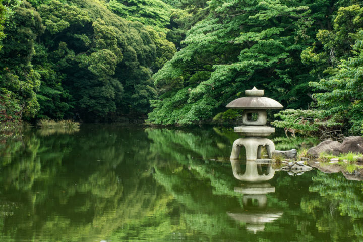 Fotografia intitolato "A peaceful pond in…" da Can Yılmaz, Opera d'arte originale, Fotografia digitale