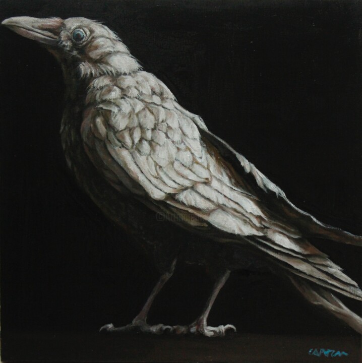 Painting titled "22061-CORBEAU BLANC" by Capton, Original Artwork, Oil Mounted on Wood Stretcher frame