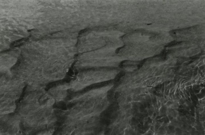 Фотография под названием "dunes" - Judith Armand, Подлинное произведение искусства