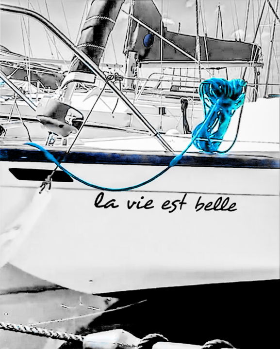 La Vie Est Belle Voilier Cordage Bleu Digital Arts By Cardoso Manu Artmajeur