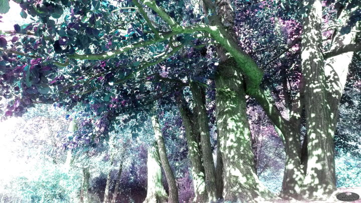 Photography titled "ARBRES DE MONET | N…" by Cardoso Manu, Original Artwork, Manipulated Photography Mounted on Wood Stretch…