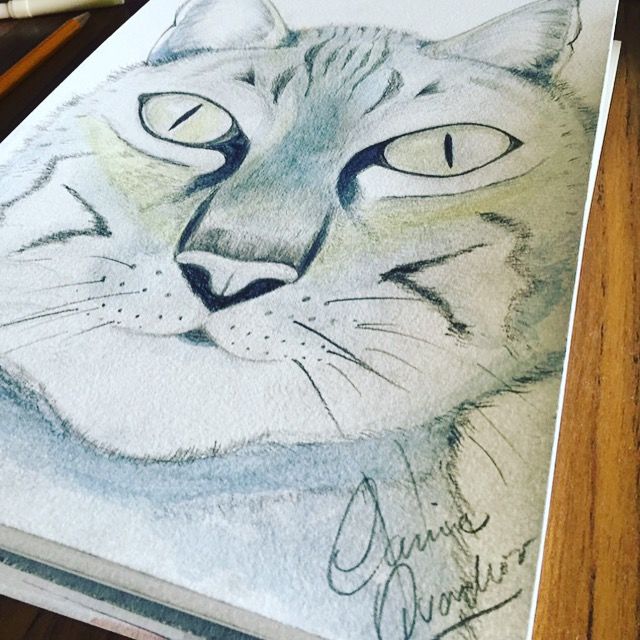 Painting titled "Le chat Nico" by Carine Quadros, Original Artwork, Watercolor