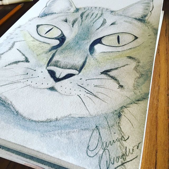 Malerei mit dem Titel "Le chat Nico" von Carine Quadros, Original-Kunstwerk, Aquarell