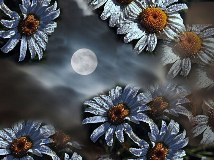 Arts numériques intitulée "Au clair de la lune" par Carl Legault, Œuvre d'art originale, Photographie numérique Monté sur Ch…