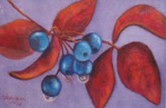 Ζωγραφική με τίτλο "Berries" από Carla J Connelly, Αυθεντικά έργα τέχνης, Λάδι