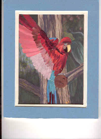 Painting titled "Pretty Polly" by Carla J Connelly, Original Artwork