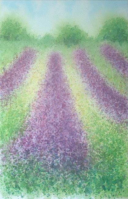 Painting titled "Rows of lavender" by Carl Conway, Original Artwork, Oil