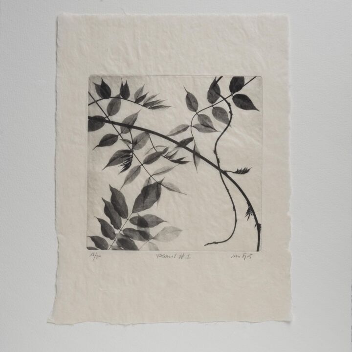 Gravures & estampes intitulée "Plant #1" par Carles Mitjà, Œuvre d'art originale, Eau-forte