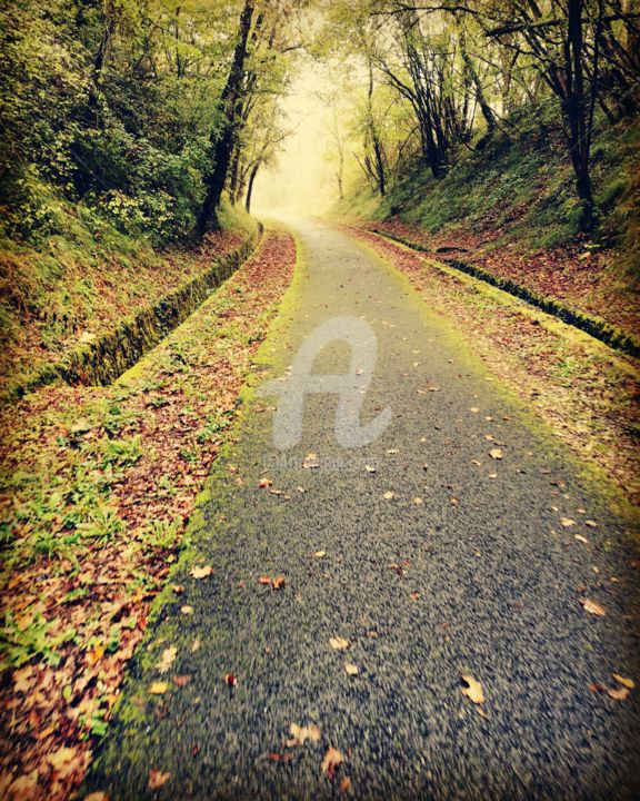 Photographie intitulée "Ancien chemin de fer" par Carlita Daunizeau, Œuvre d'art originale, Photographie manipulée