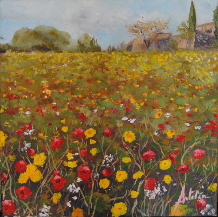 Pintura intitulada "Lliçà en primavera" por Carlos Antolin, Obras de arte originais, Óleo