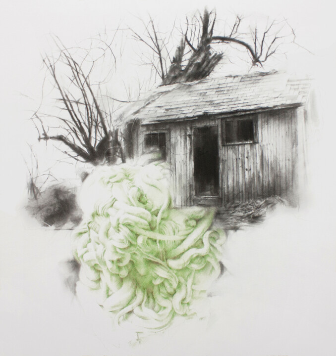 Drawing titled "Forgotten roots IV" by Carlos Asensio, Original Artwork, Charcoal Mounted on Wood Panel