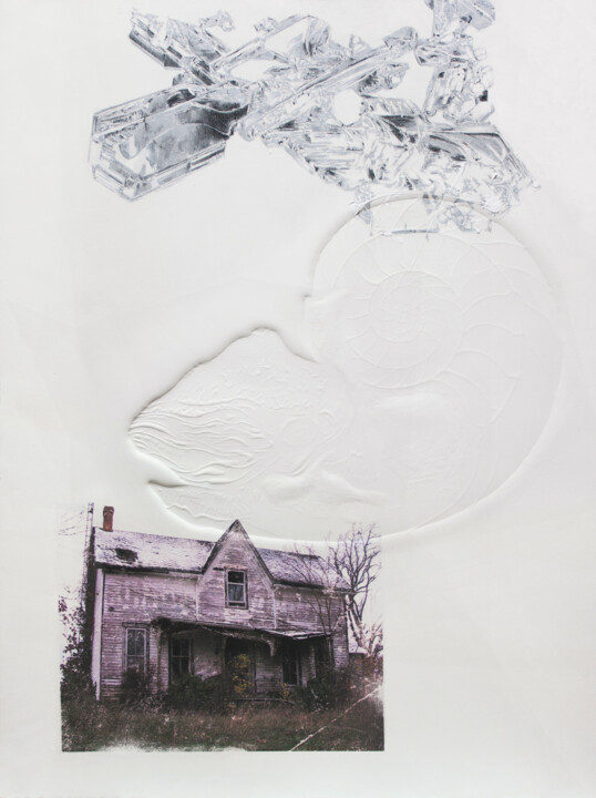 Отпечатки и Гравюры под названием "Forgotten roots VIII" - Carlos Asensio, Подлинное произведение искусства, Монотип Установ…