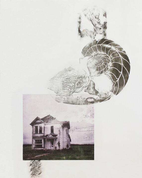 Estampas & grabados titulada "Forgotten roots IX" por Carlos Asensio, Obra de arte original, Monotipia