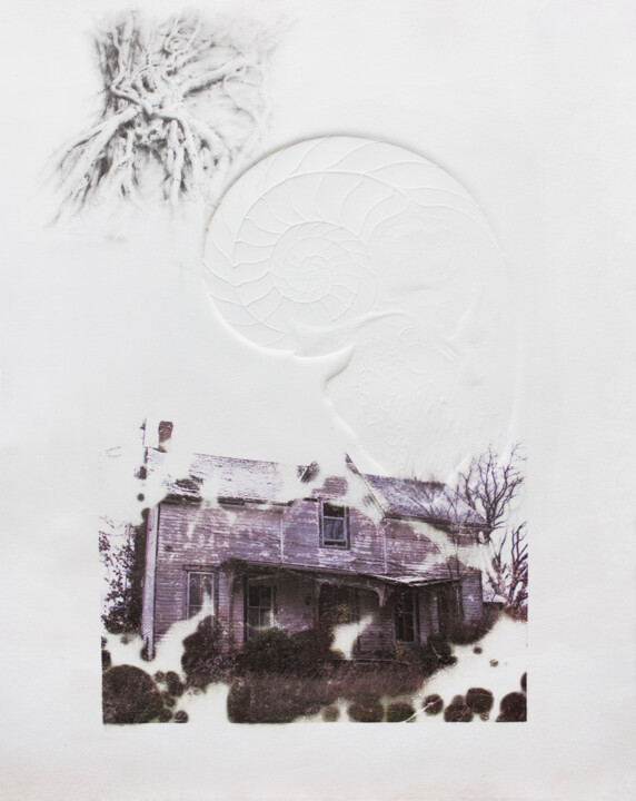 Отпечатки и Гравюры под названием "Forgotten roots XII" - Carlos Asensio, Подлинное произведение искусства, Монотип