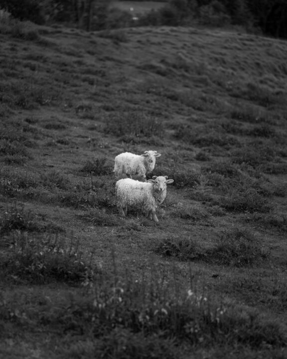 Photographie intitulée "Sans titre, de la s…" par Carlos Pericas, Œuvre d'art originale, Photographie numérique