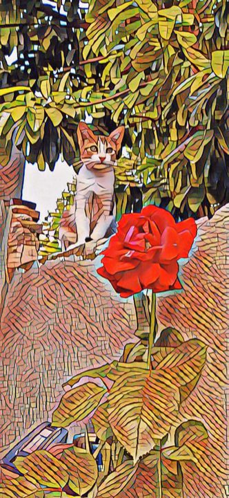Arte digitale intitolato "Gatito con flor" da Alberto Martinez, Opera d'arte originale, Fotomontaggio