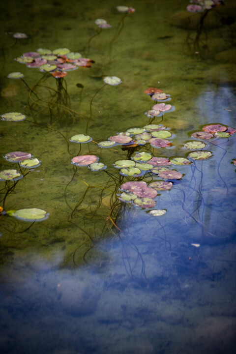 Photographie intitulée "Balade sur le lac e…" par Carmen Lazarescu, Œuvre d'art originale, Photographie numérique