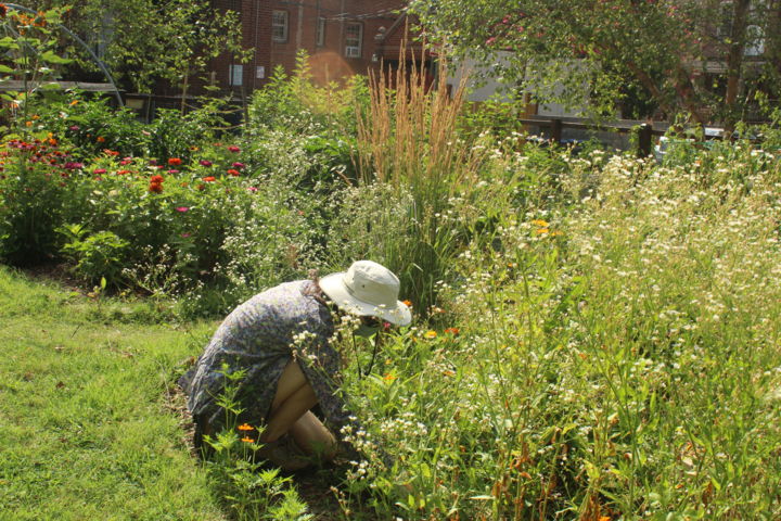 Photography titled "Working in the gard…" by Carol Morgan, Original Artwork, Digital Photography