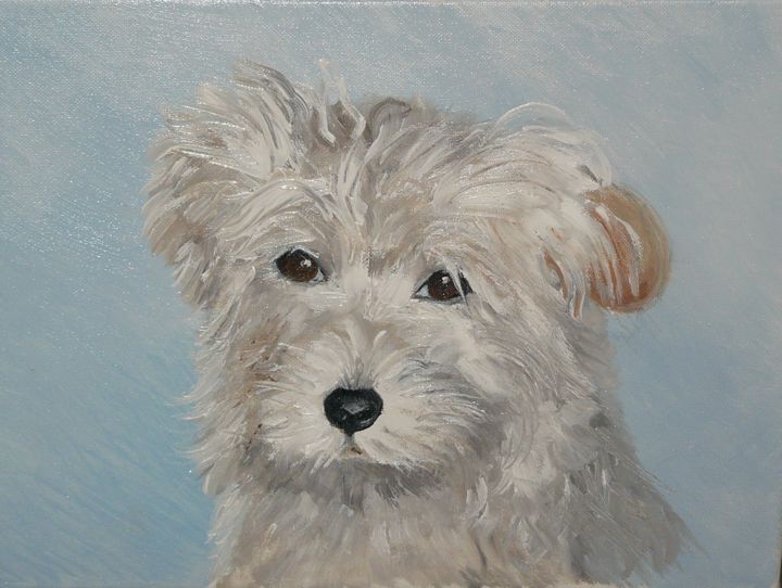 Painting titled "max" by Carole Closkin, Original Artwork, Oil