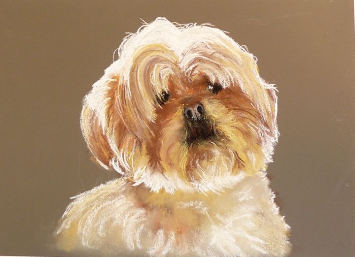 Peinture intitulée "yago" par Carole Closkin, Œuvre d'art originale, Pastel