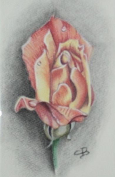 Disegno intitolato "Rose" da Carole D'Aroca, Opera d'arte originale, Pastello