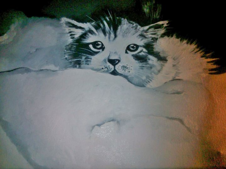 Pintura titulada "gatto olio su tela" por Carolina Paoletti, Obra de arte original