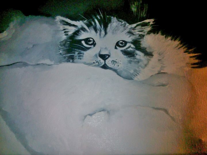 Painting titled "gatto olio su tela" by Carolina Paoletti, Original Artwork